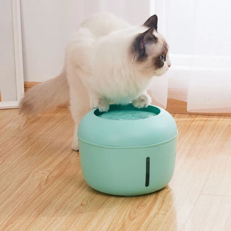 Fontaine à eau automatique pour chats 2,5l