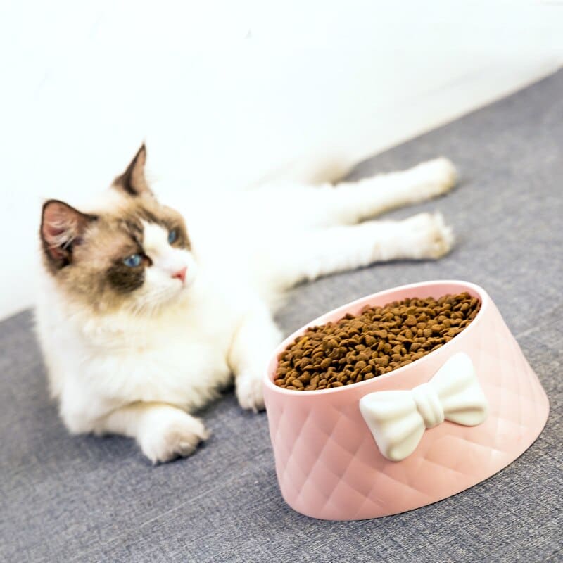 Bow tie bowl for cats Orderkeen