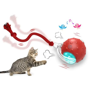 Balle Chat interactive