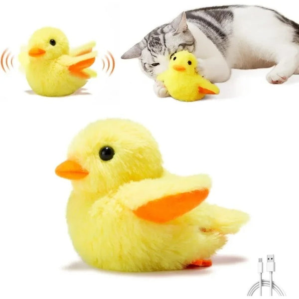 Jouet Oiseau pour Chat