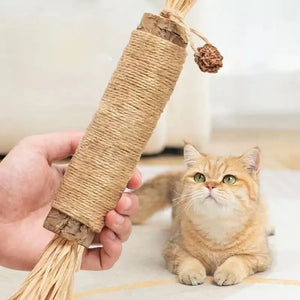 Baton Pour Chat