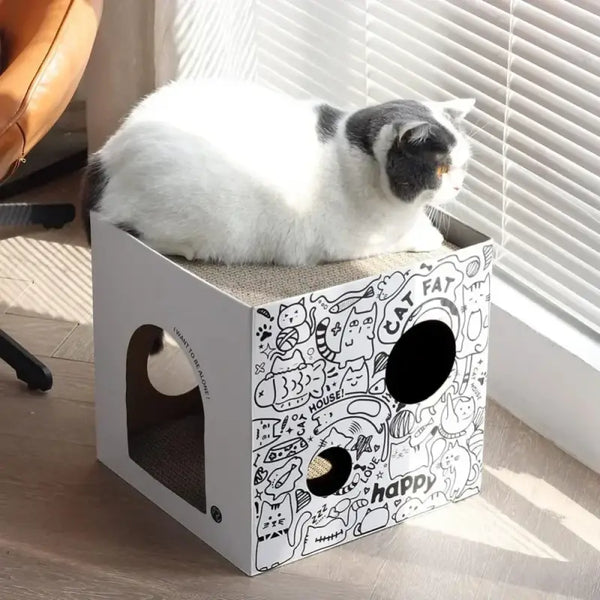 Cabane en Carton pour Chat