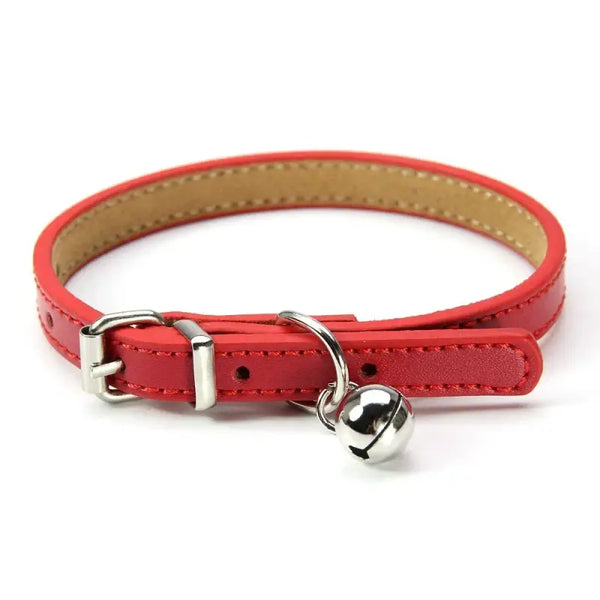 Collier pour Chat Cuir