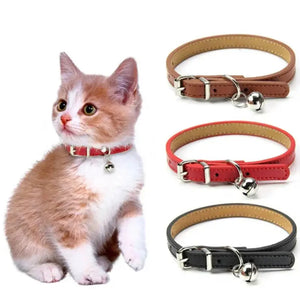 Collier pour Chat Cuir