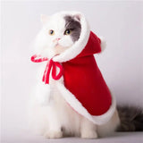 Costume Noel Pour Chat