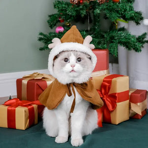 Costume Noel Pour Chat