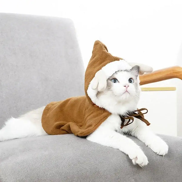 Costume Noel Pour Chat