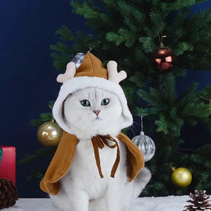 Costume Noel Pour Chat