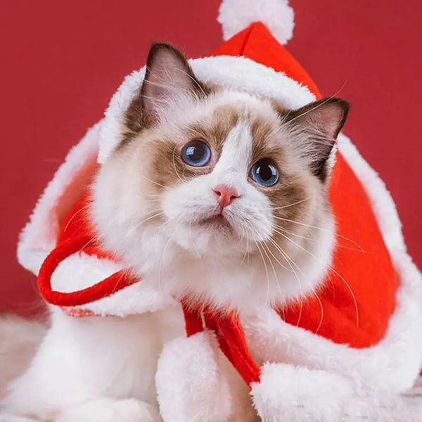 Costume Noel Pour Chat