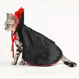 Deguisement Halloween Pour Chat