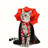 Deguisement Halloween Pour Chat