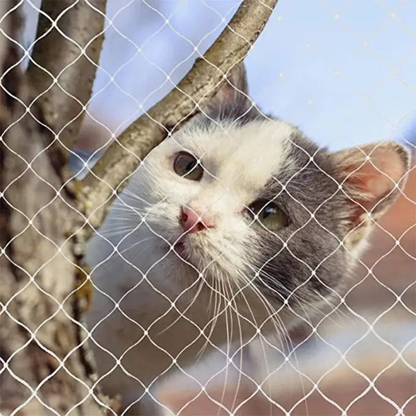 Filets Balcon Chat