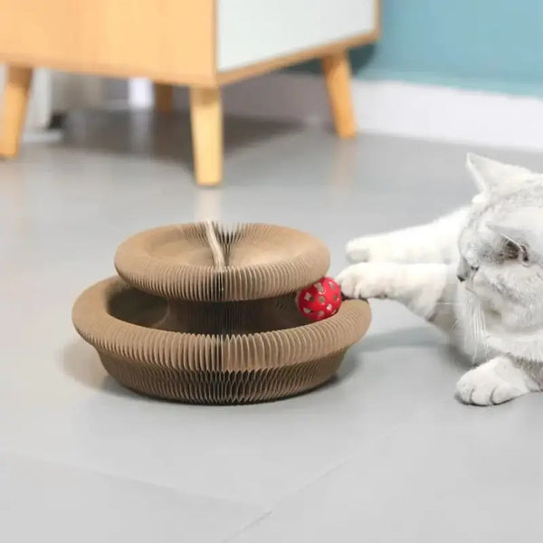 Jeux pour Chat en Carton