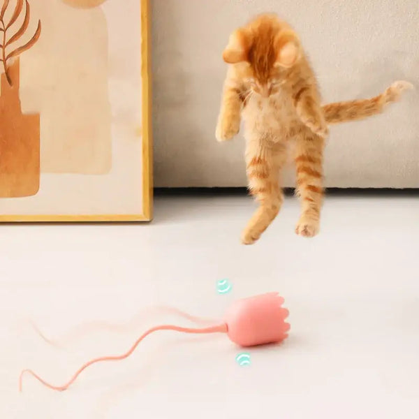 Jouet Chat Automatique