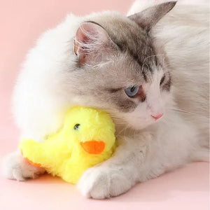 Jouet Oiseau pour Chat