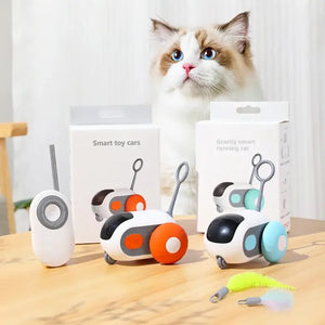 Jouet Telecommande pour Chat