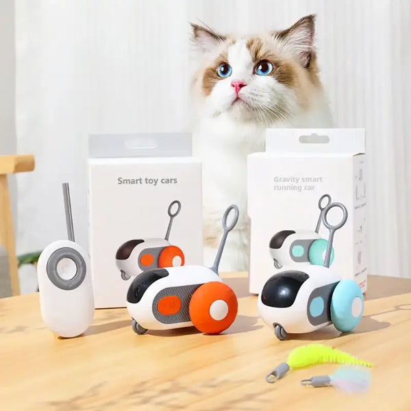 Jouet Telecommande pour Chat