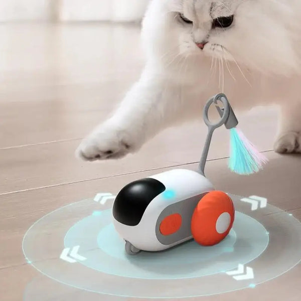 Jouet Telecommande pour Chat