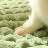 Matelas pour Chat