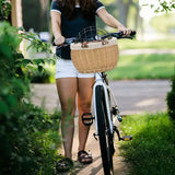 Panier Velo Pour Chat