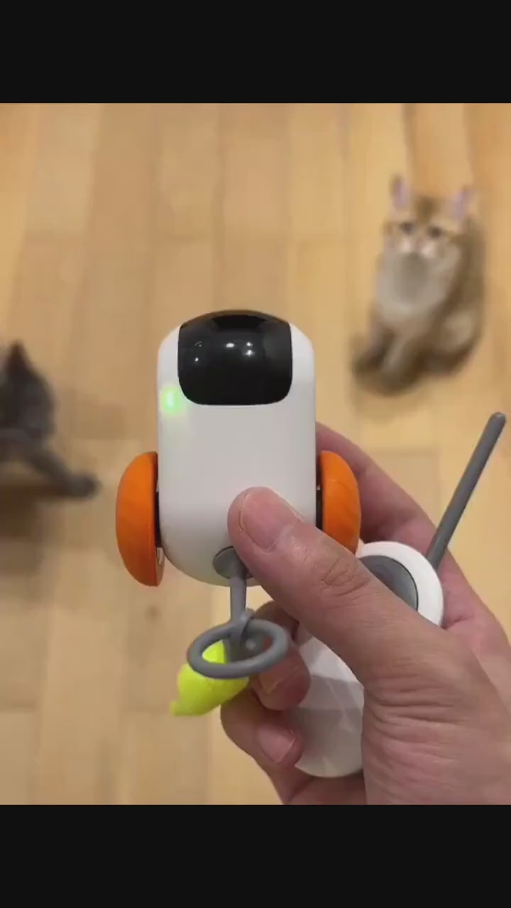 jouet telecommande pour chat