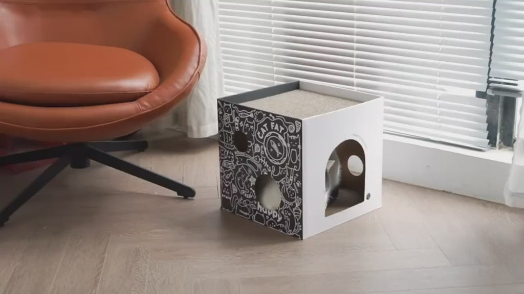 Cabane en Carton pour Chat