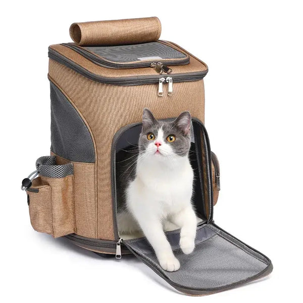 Sac de Voyage Chat