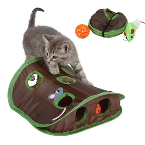 Tapis de Jeu Pour Chat