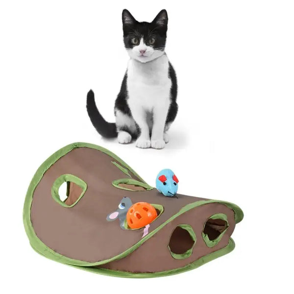 Tapis de Jeu Pour Chat