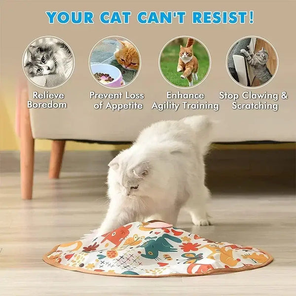 Tapis Jeux Chat