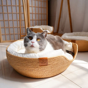 Lunettes pour chat tendance  Au Bonheur Du Chat – Au bonheur du chat -  Boutique d'accessoires pour votre chat et pour vous
