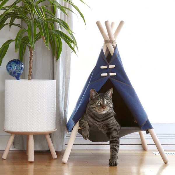 https://www.orderkeen.com/cdn/shop/products/tente-tipi-style-moderne-pour-chat-motykat-couchages-lits-paniers-289_600x.jpg?v=1648991805